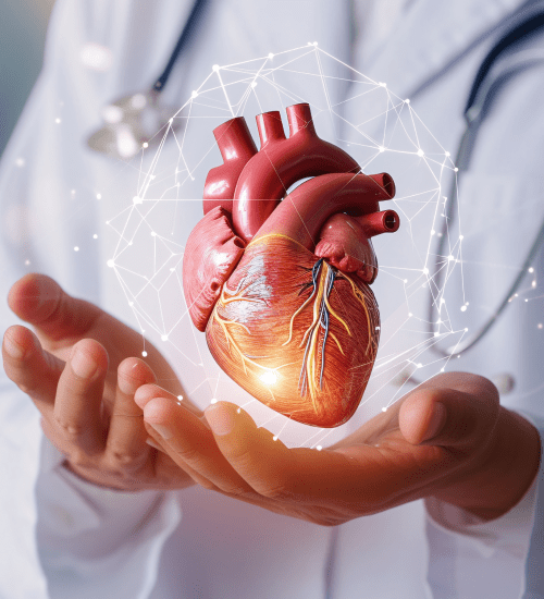 Top Heart Clinic in Kolkata